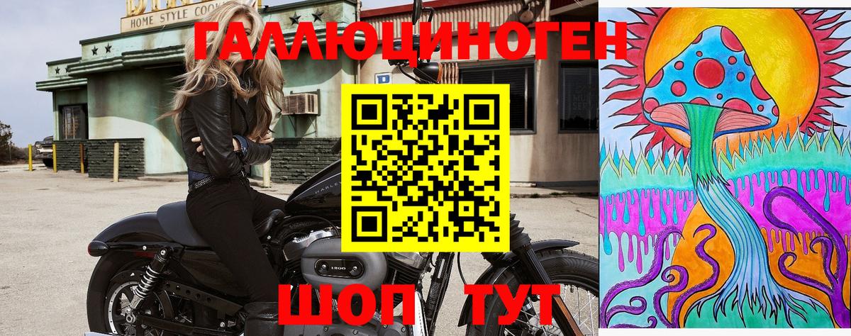 Галлюциногенные грибы GOLDEN TEACHER Россия