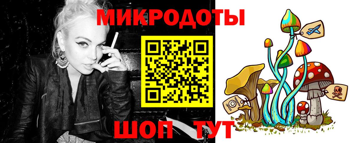 Псилоцибиновые грибы Psilocybe  Вход с VPN  Россия 
